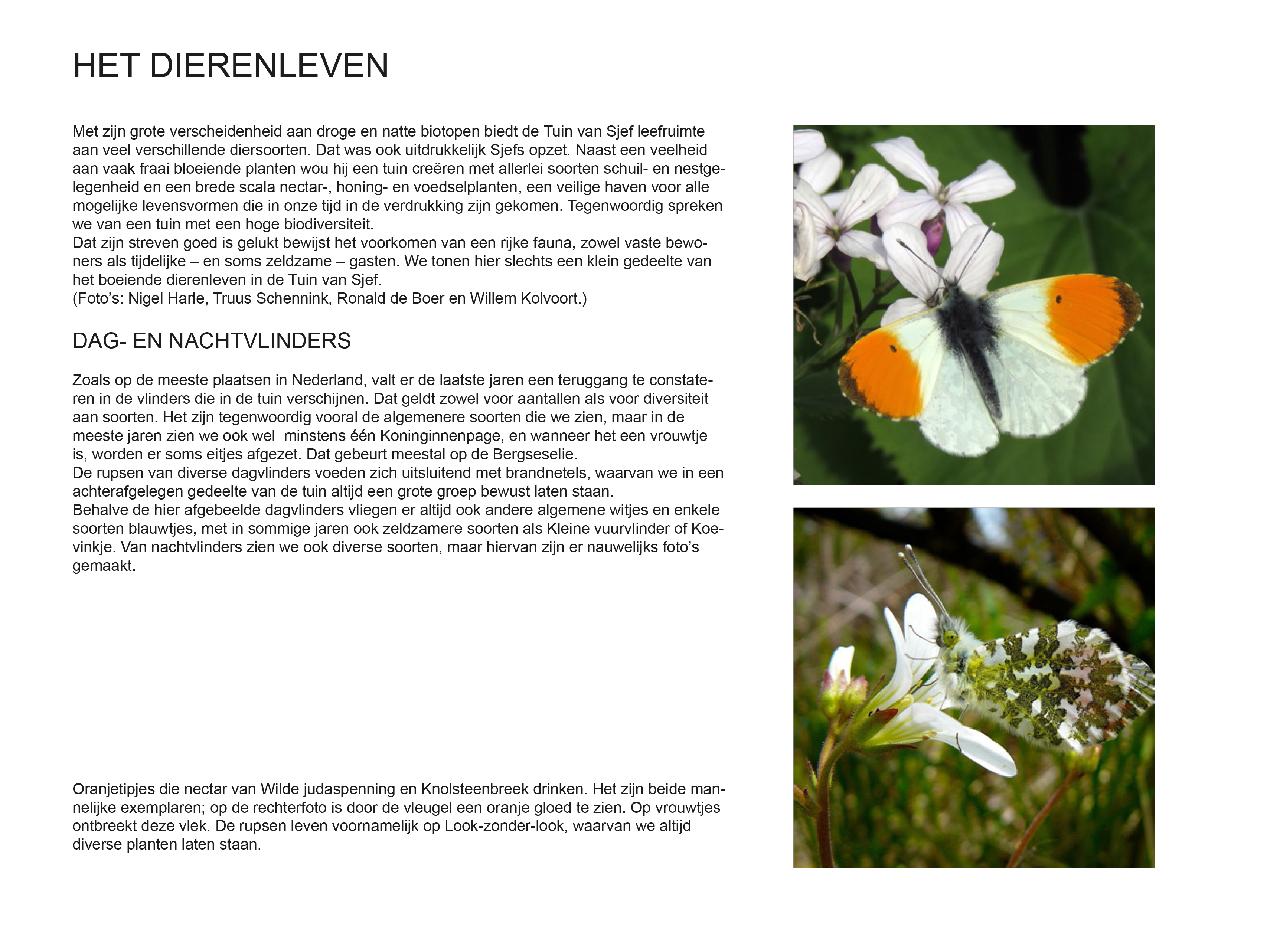 dieren 1